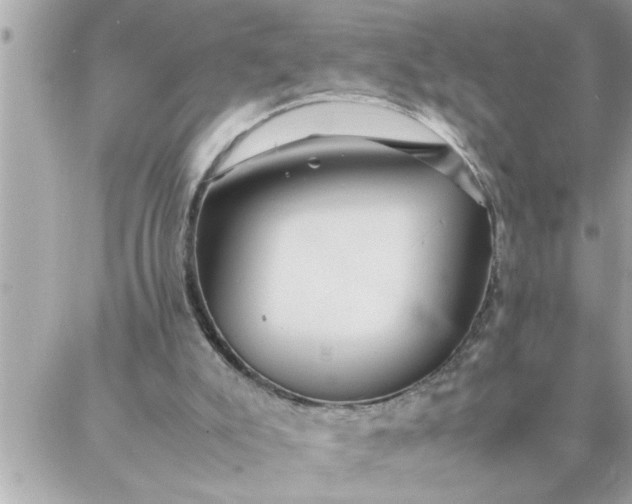 X0000087360007200705041907