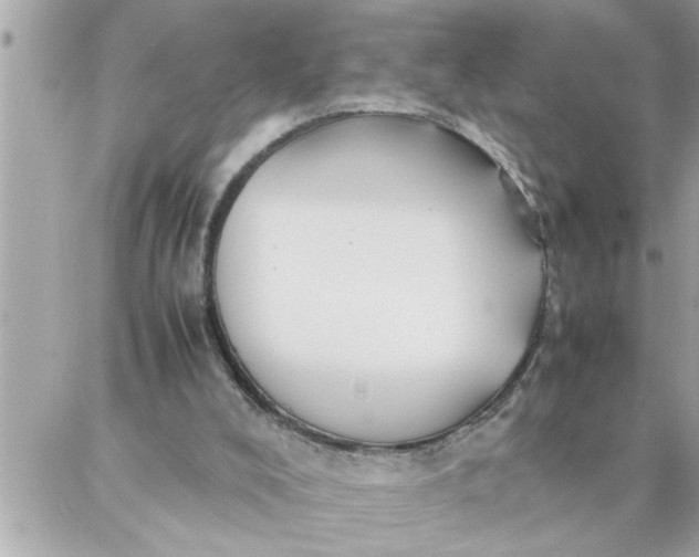 X0000087360008200705041907