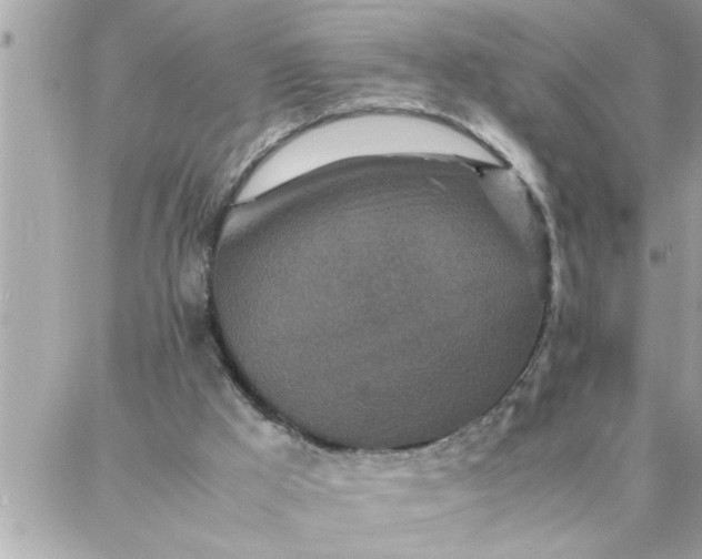 X0000087360009200705041907