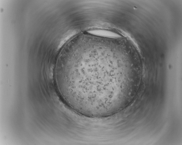 X0000087360010200705041907