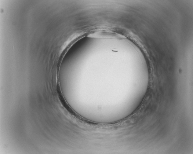 X0000087360011200705041907