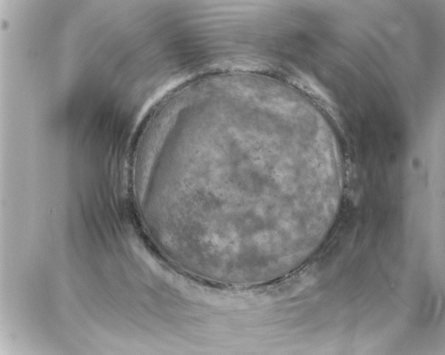 X0000087360012200705041907