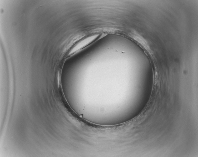 X0000087360013200705041906