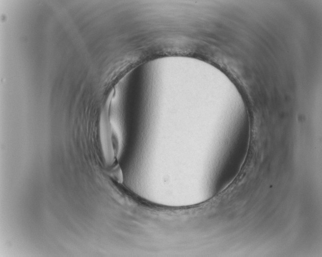 X0000087360017200705041906