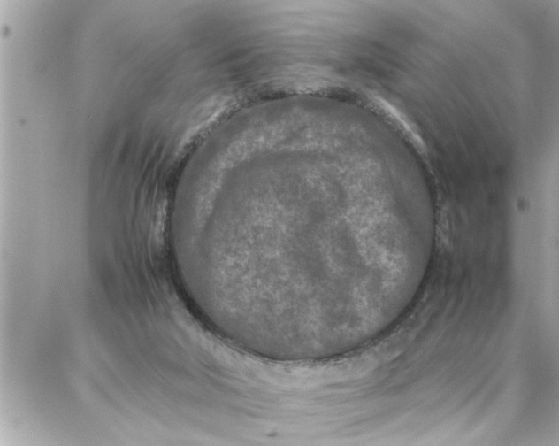 X0000087360018200705041906