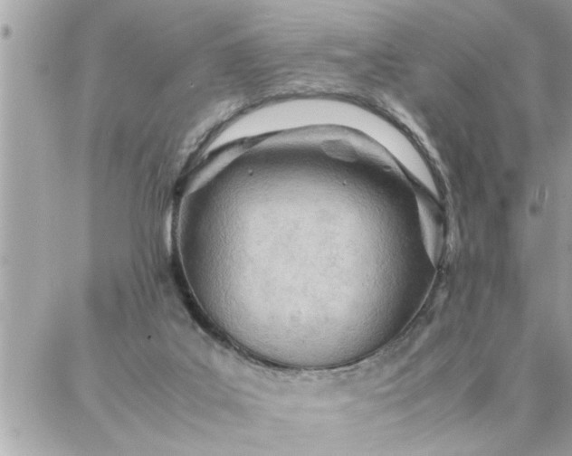 X0000087360019200705041906