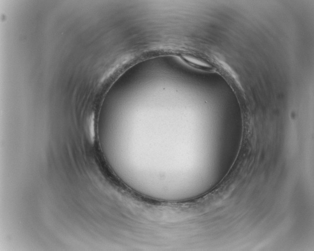 X0000087360020200705041906