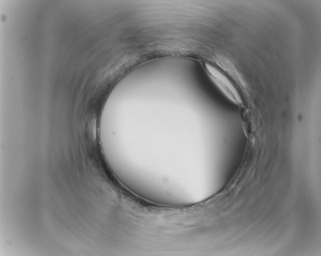 X0000087360021200705041906