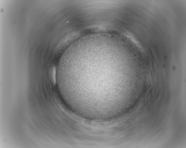 X0000087360022200705041906