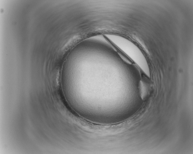 X0000087360023200705041906