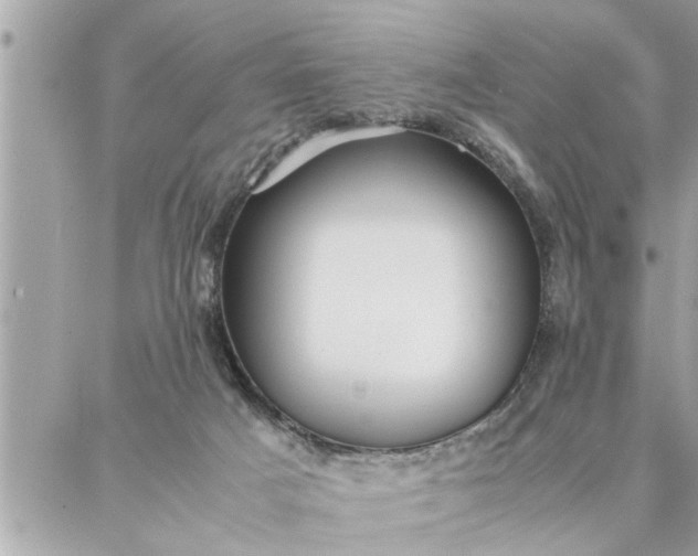 X0000087360025200705041906