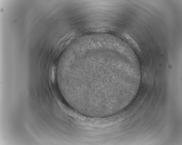 X0000087360026200705041906