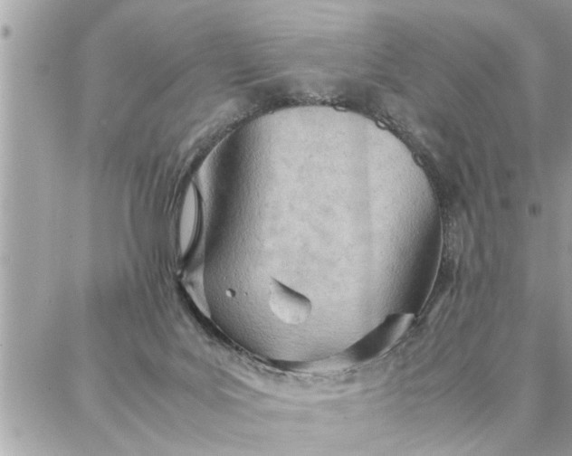 X0000087360027200705041906