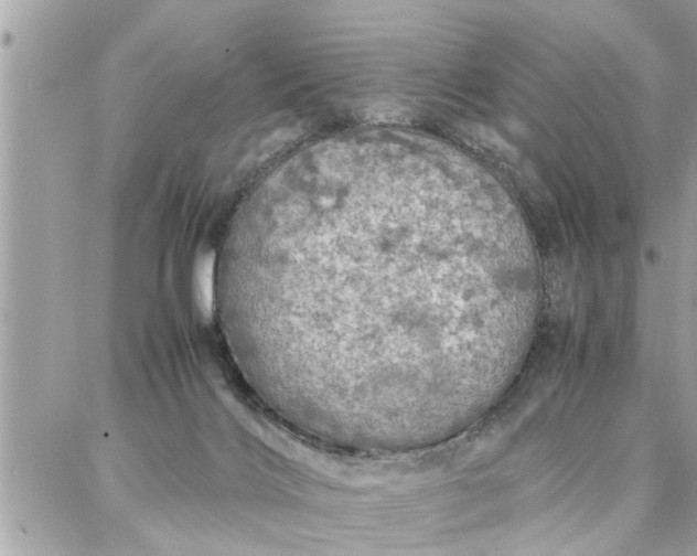 X0000087360028200705041906