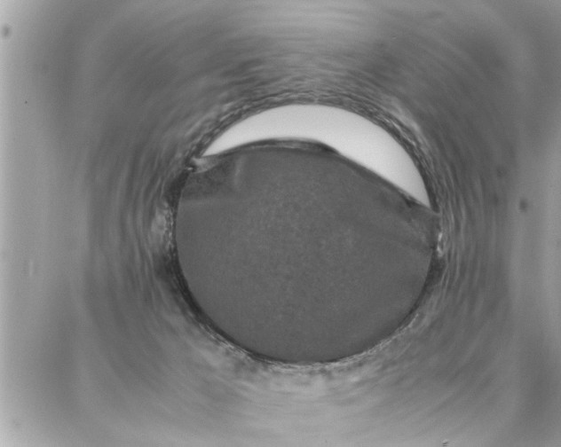 X0000087360029200705041906