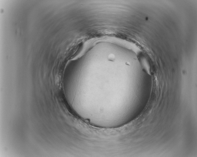 X0000087360031200705041906