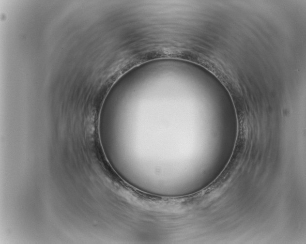 X0000087360032200705041906