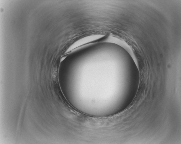 X0000087360033200705041906