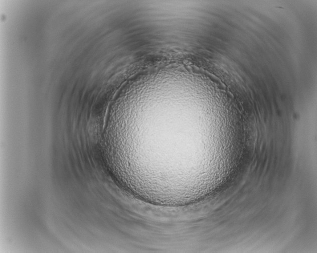 X0000087360034200705041906