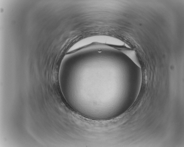 X0000087360035200705041906