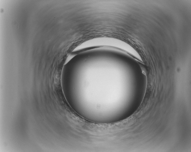 X0000087360037200705041906