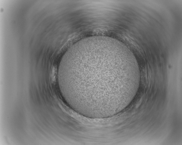 X0000087360038200705041906