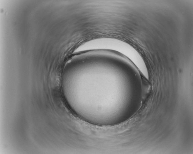 X0000087360039200705041906