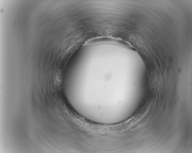 X0000087360040200705041906