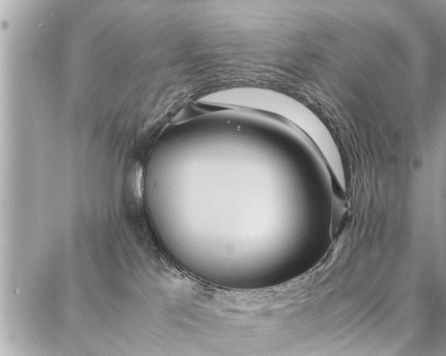 X0000087360041200705041906