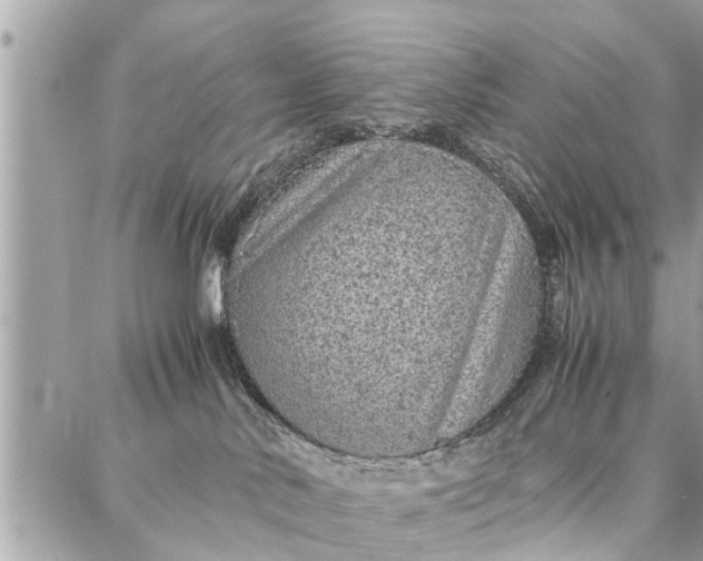 X0000087360042200705041906