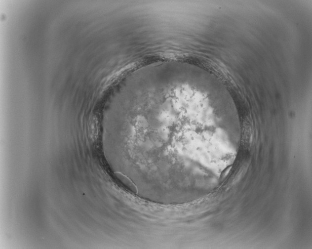 X0000087360043200705041906