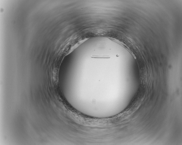 X0000087360044200705041906