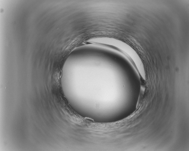 X0000087360045200705041906