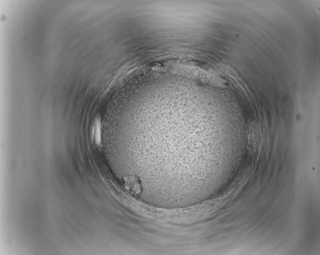 X0000087360046200705041906