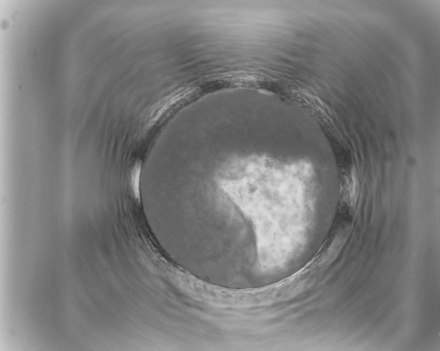 X0000087360047200705041906