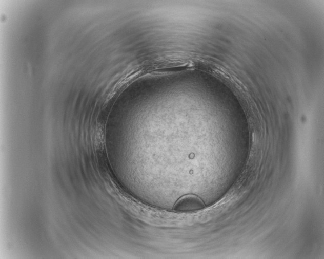 X0000087360048200705041906