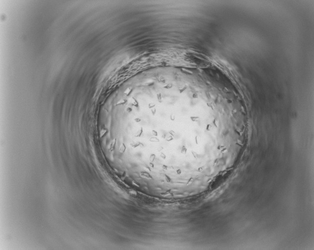 X0000087360049200705041905