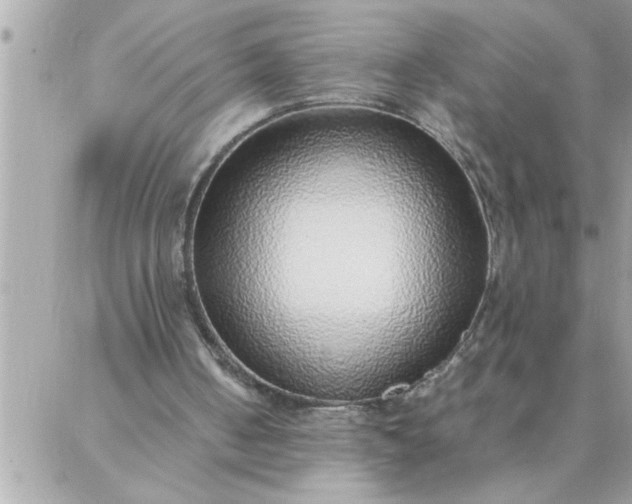 X0000087360050200705041905