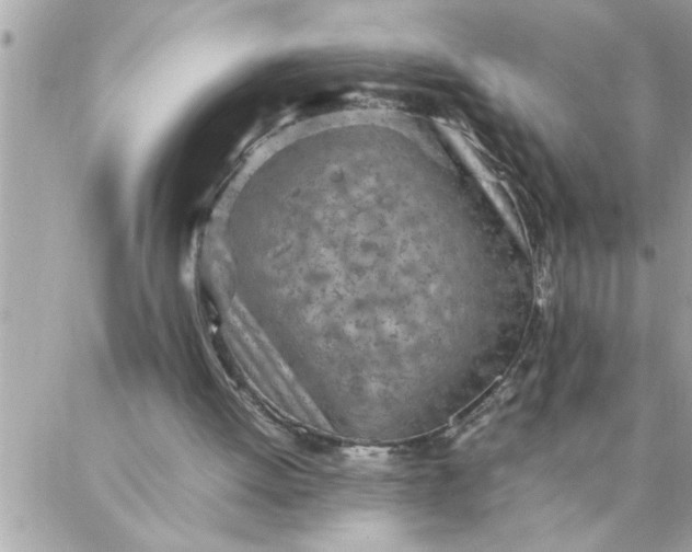 X0000087360052200705041905