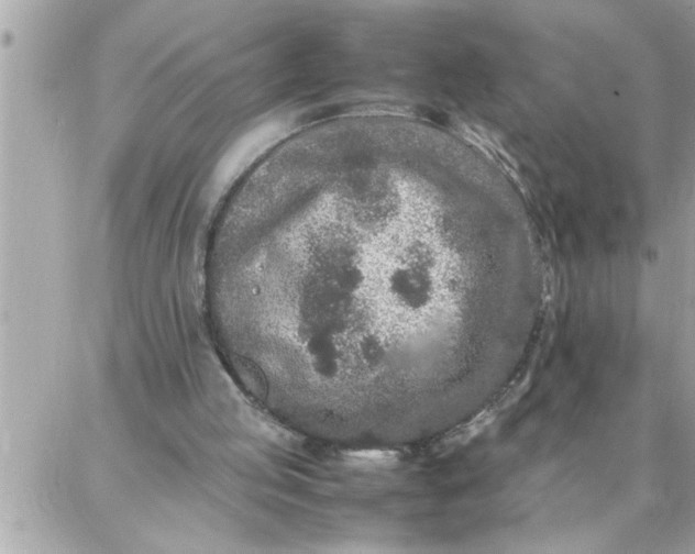 X0000087360053200705041905