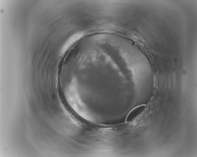 X0000087360054200705041905