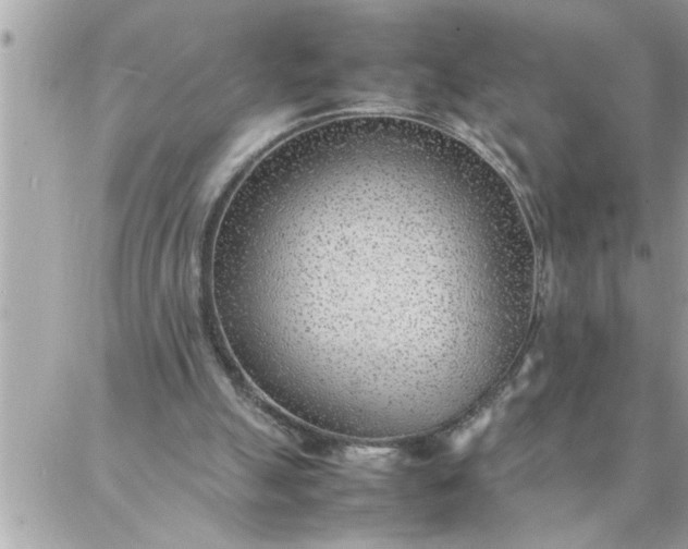 X0000087360055200705041905