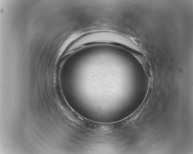 X0000087360056200705041905