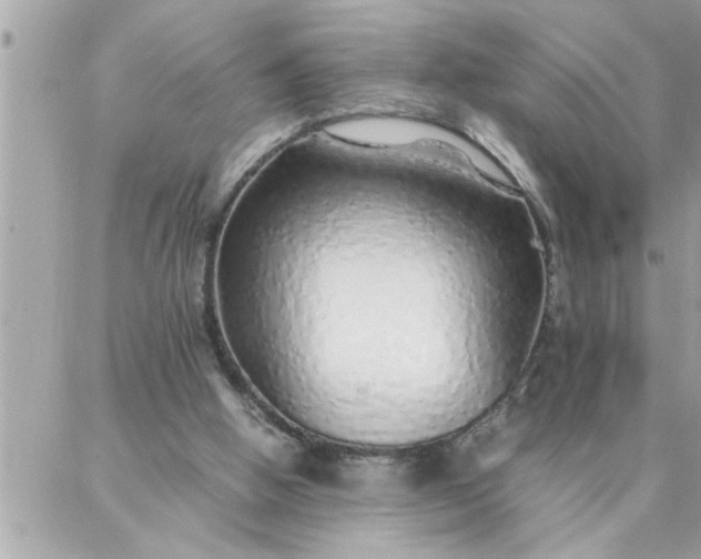 X0000087360058200705041905