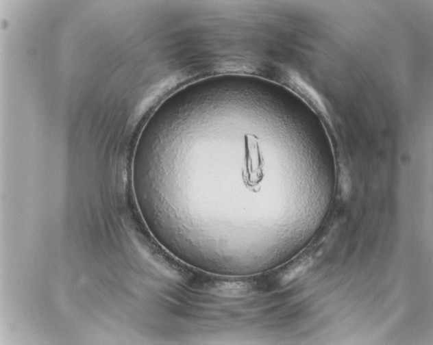 X0000087360059200705041905