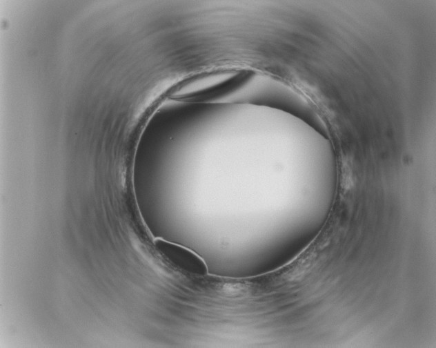 X0000087360060200705041905