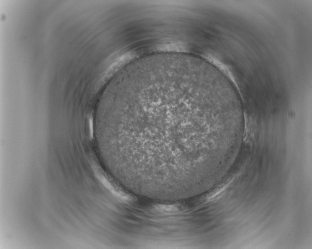 X0000087360061200705041905