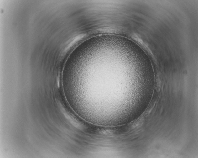 X0000087360062200705041905