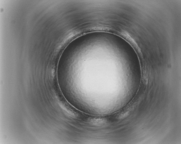 X0000087360063200705041905