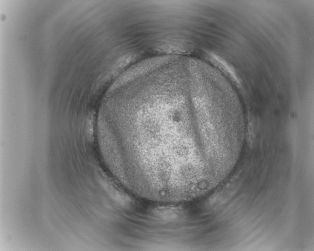 X0000087360065200705041905